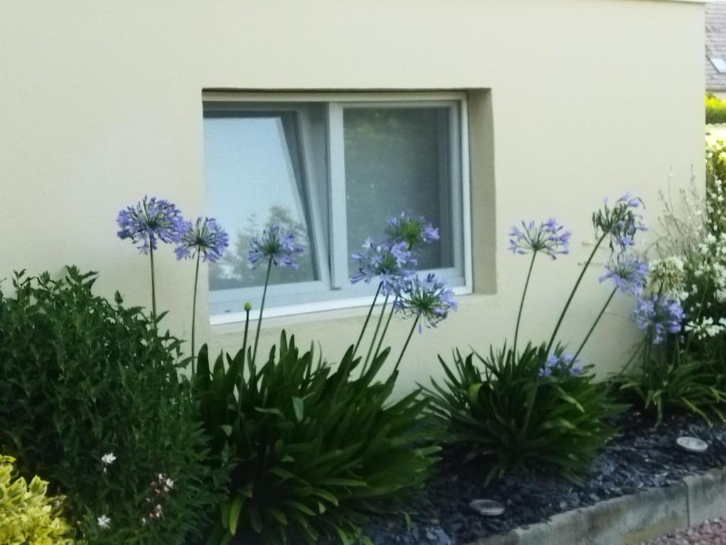 Zahrada ubytování Les Hortensias