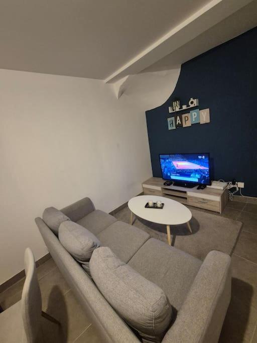 un salon avec un canapé et une télévision dans l'établissement charmante maison de ville, à Narbonne