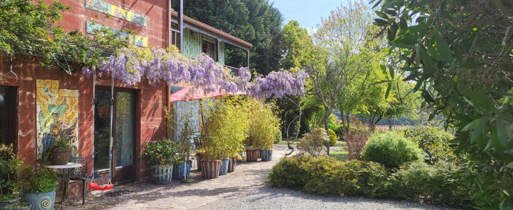 Zahrada ubytování Apartamentos Rosa Jove