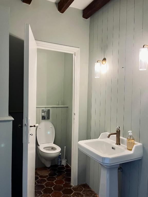 une salle de bain avec un lavabo blanc et des toilettes dans l'établissement Maison de campagne rénovée - 15 personnes - 1h30 de Paris - Piscine Pétanque Étang, à Noyers
