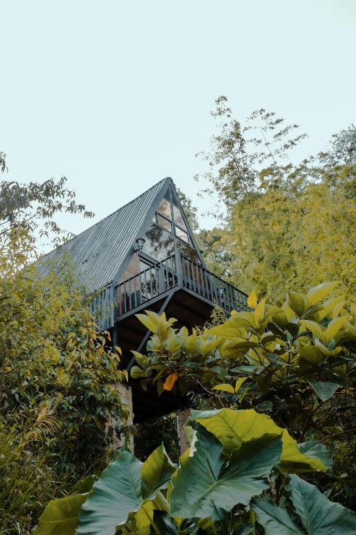Příroda nedaleko hotelu