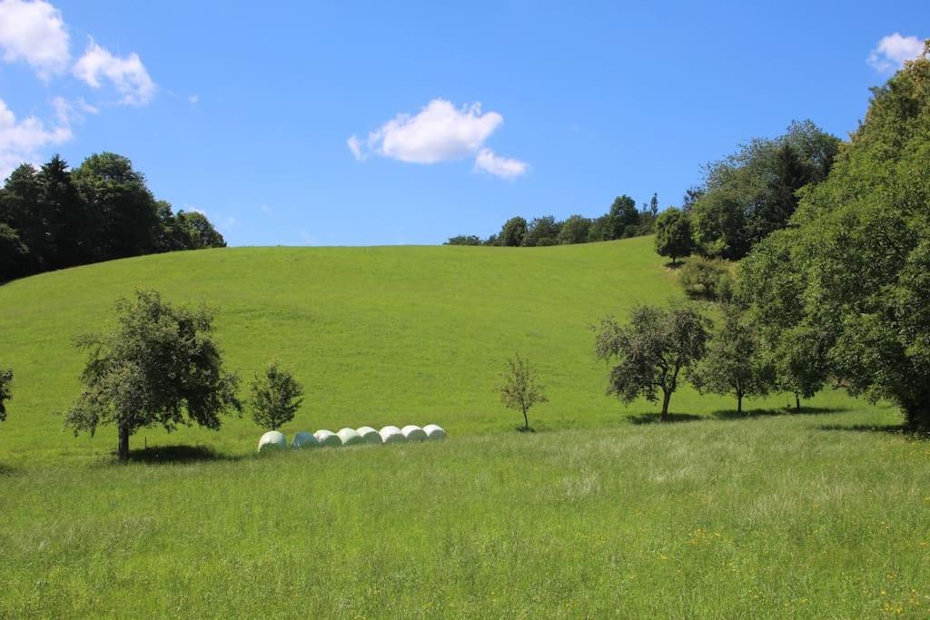 Peisaj natural din apropierea acestui apartament