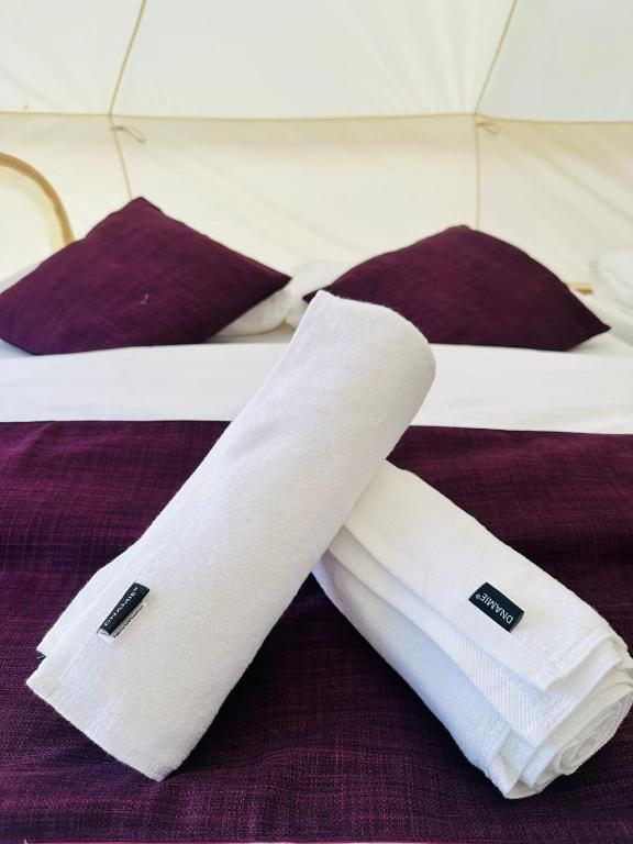Postel nebo postele na pokoji v ubytování Dnamie Glamping - Lux Tent