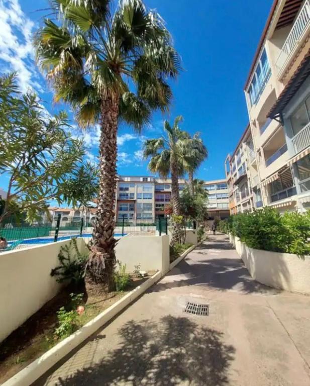 un trottoir avec des palmiers devant un bâtiment dans l'établissement Harmony - Résidence Nauticap plage RICHELIEU, au Cap d'Agde