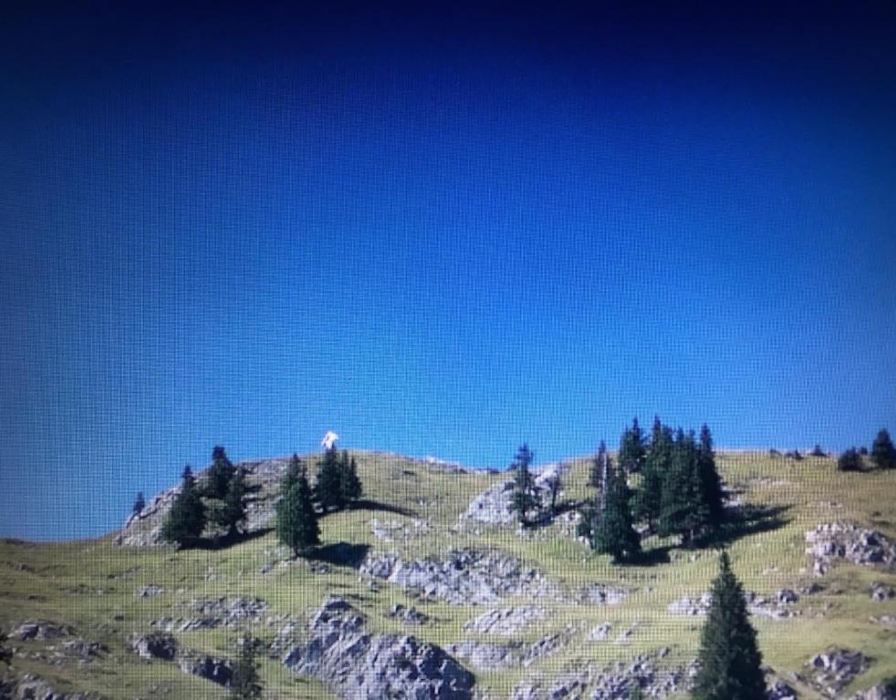 Příroda nedaleko ubytování v soukromí