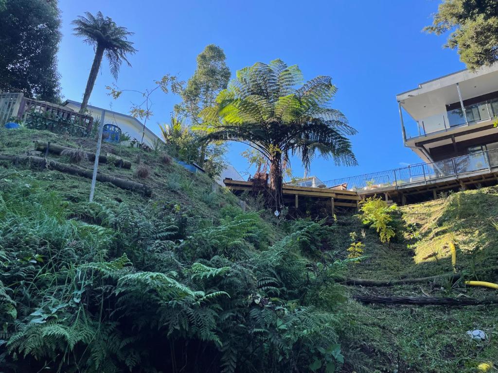 Gully Retreat - Resim 9