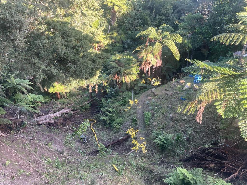 Gully Retreat - Resim 10