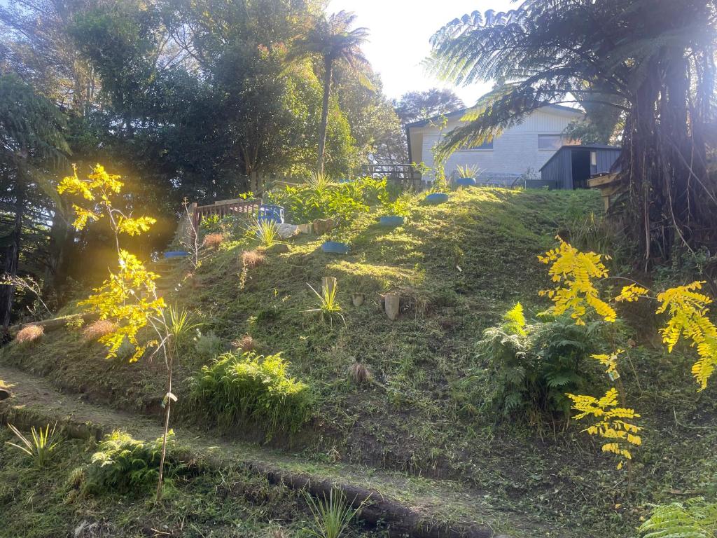 Gully Retreat - Resim 11