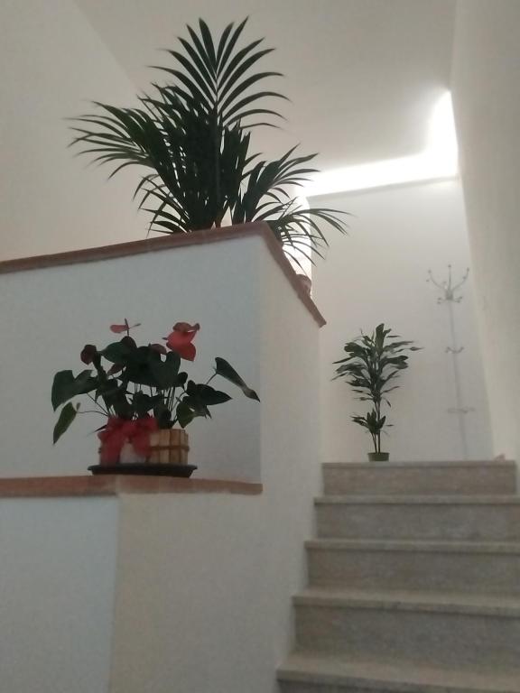 Valdambra B&B