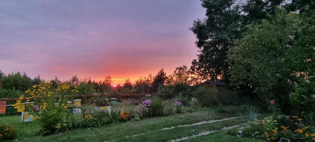 Vonkajšia záhrada v ubytovaní Domek "U Pszczelarza"