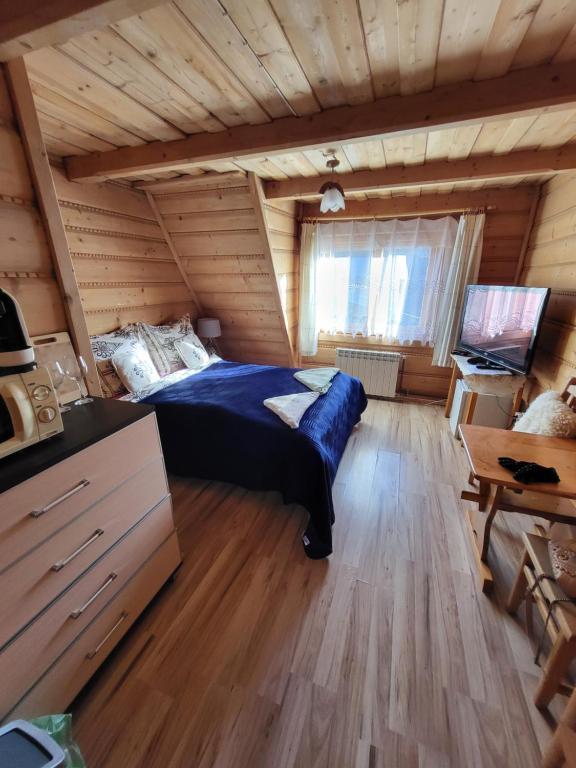 Televízia a/alebo spoločenská miestnosť v ubytovaní Domek Jelonek