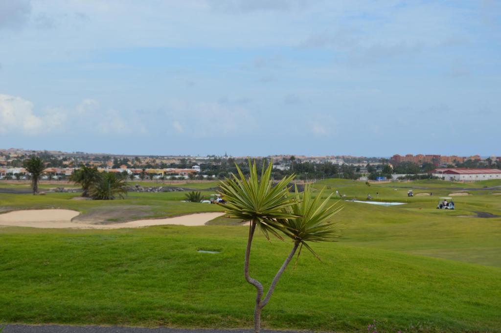 Golf v vily nebo okolí