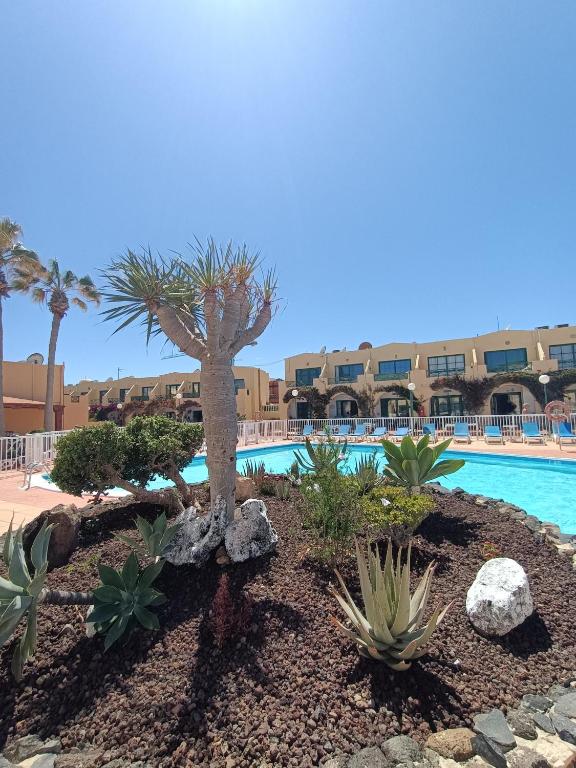 a resort with a swimming pool and palm trees at Castillo Mar - 82 in Caleta De Fuste