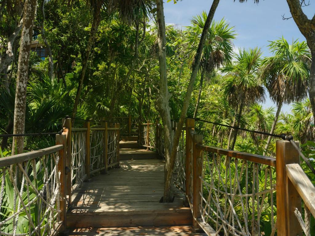 Zahrada ubytování Kimpton - Grand Roatan Resort and Spa