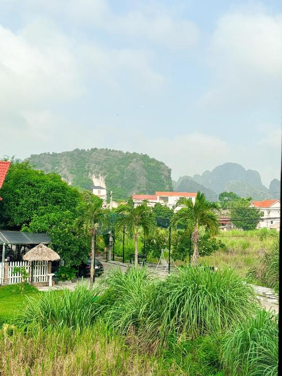 Tam Coc Sana Villa & Homestays - 15