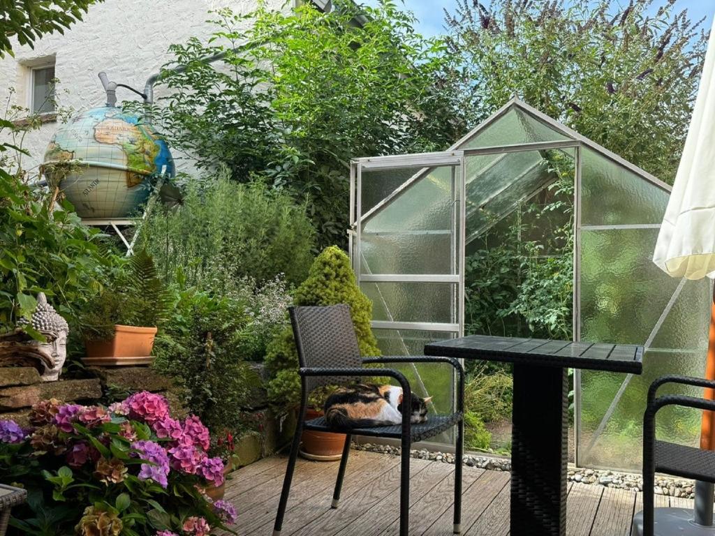 Zahrada ubytování Tauber Relax Loft