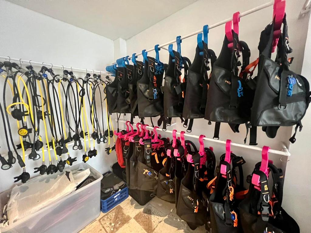 Fotografie z fotogalerie ubytování E-Fun Dive Resort v destinaci Dauin