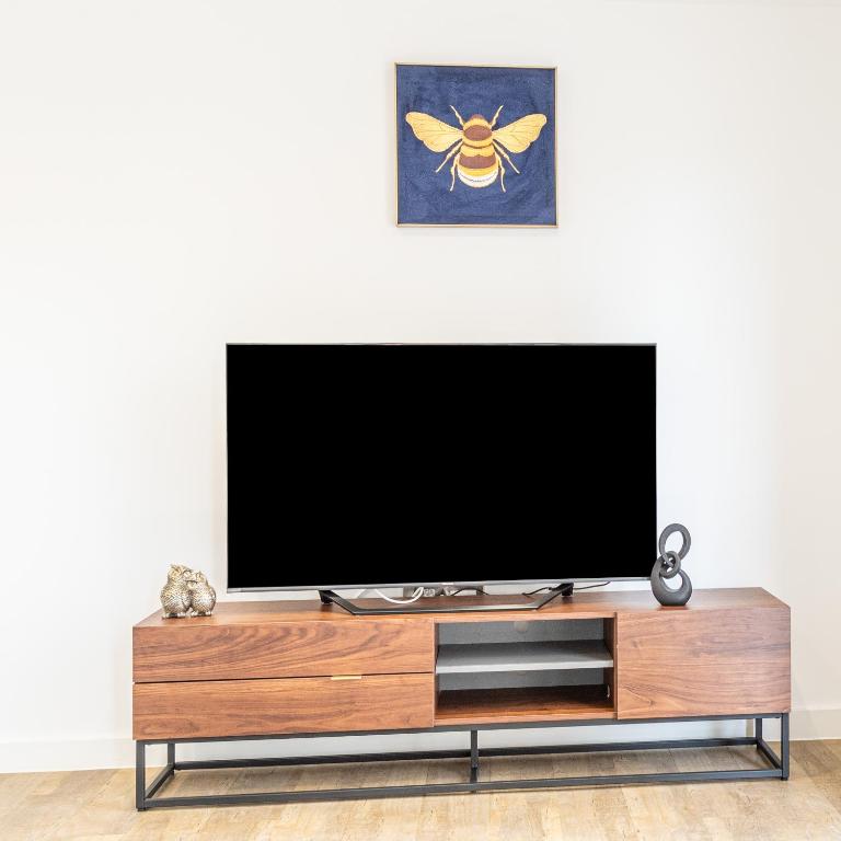 TV a/nebo společenská místnost v ubytování Bayut1