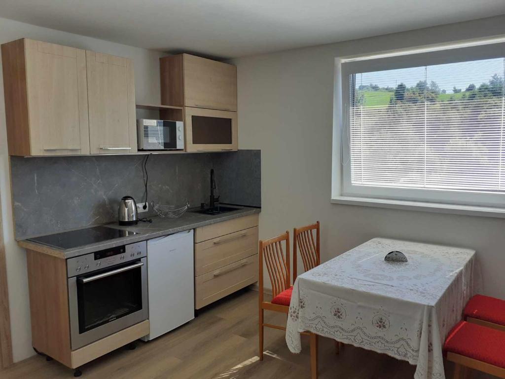 Kuchyň nebo kuchyňský kout v ubytování Apartmánový dům TERKA