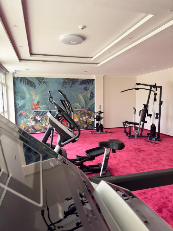 Fitness centrum a/nebo fitness zařízení v ubytování Hotel Aurora