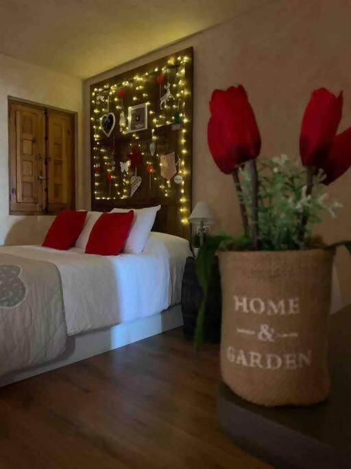 Luxury Danna Plaza Mayor - 10