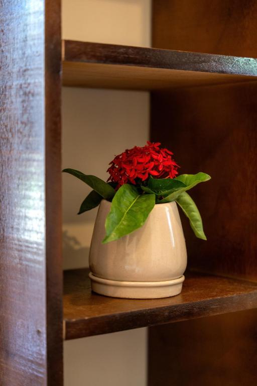 Coconut Bay Eco Resort - 10