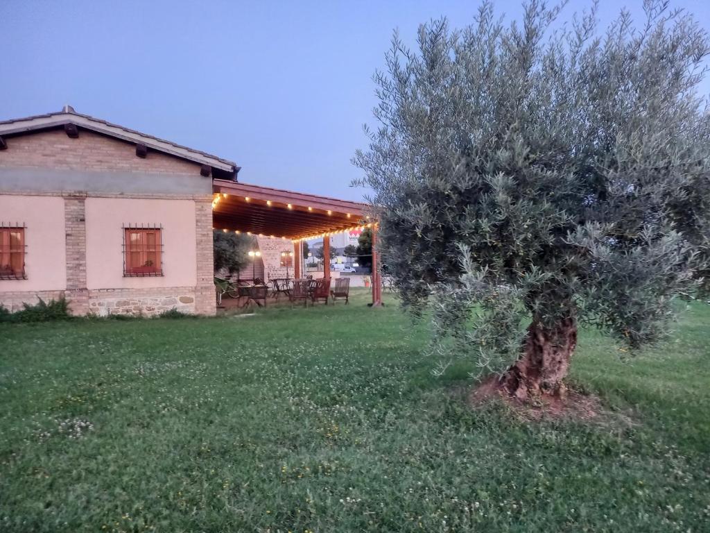Zahrada ubytování Alba su Assisi