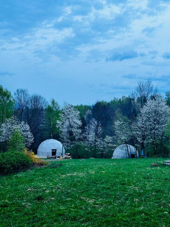 Příroda nedaleko luxury tent