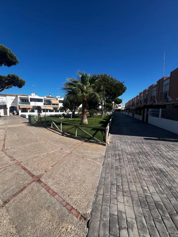 eine Kopfsteinpflasterstraße mit Palmen und Gebäuden in der Unterkunft Casa 3 dormitorios La Barrosa in Chiclana de la Frontera