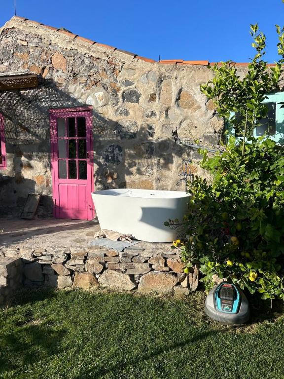 Fotografie z fotogalerie ubytování Finca Rosa v destinaci Granadilla de Abona