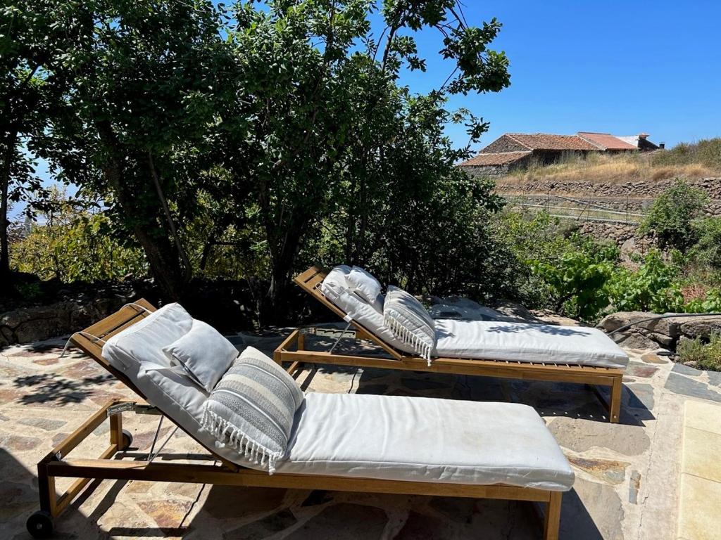 Fotografie z fotogalerie ubytování Finca Rosa v destinaci Granadilla de Abona