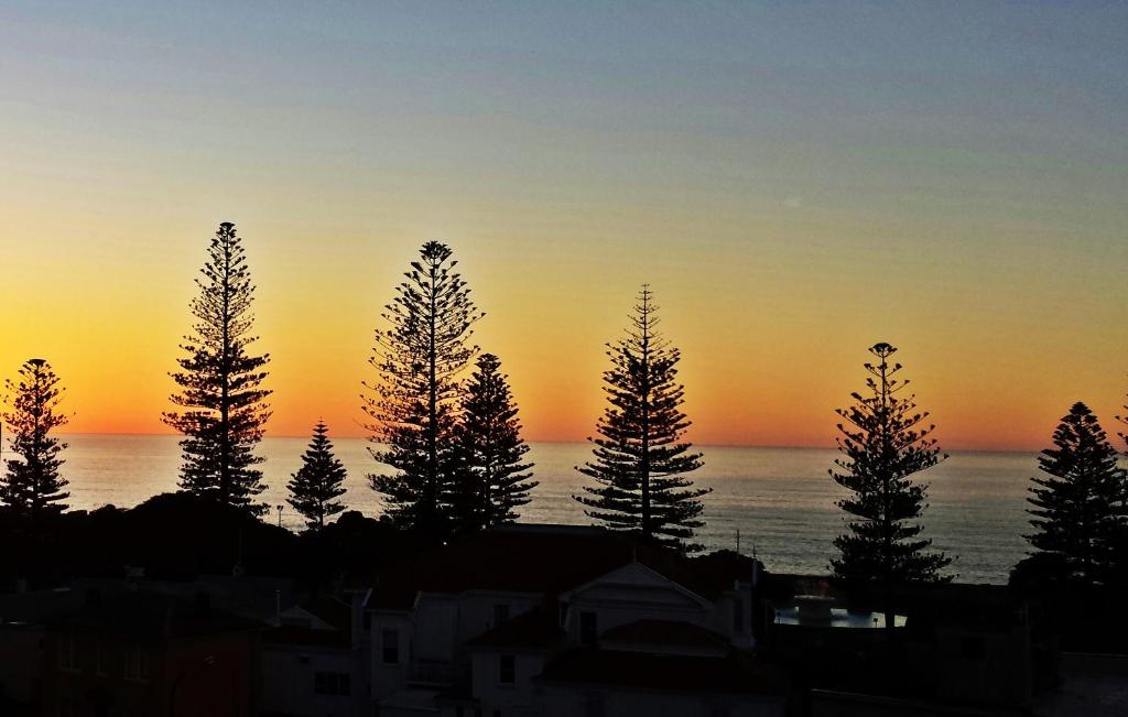 Bella Vista Motel Napier - Resim 23