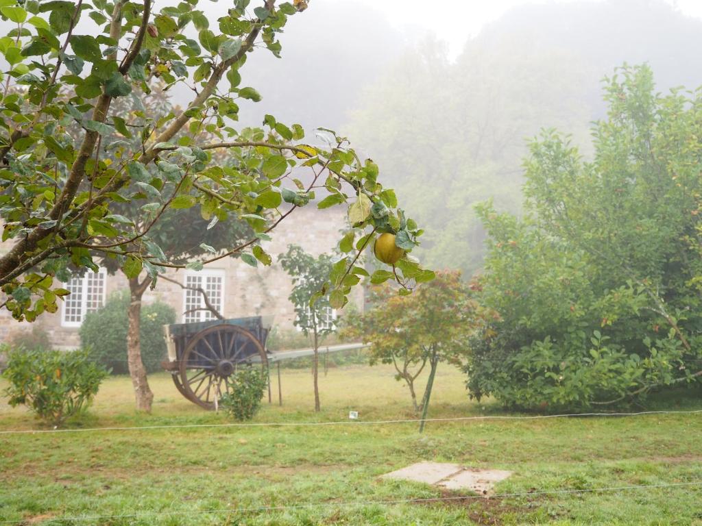 Příroda nedaleko bed and breakfast