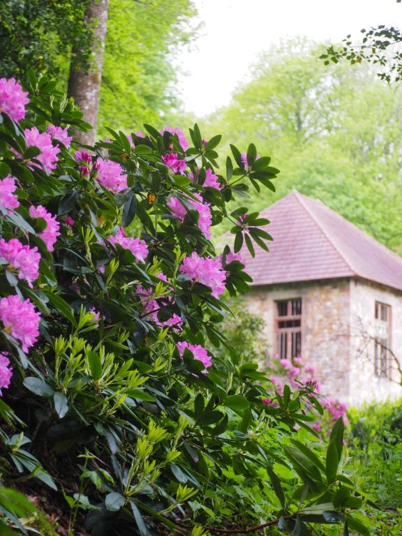 Zahrada ubytování Chambre d'Hôtes de l'Île