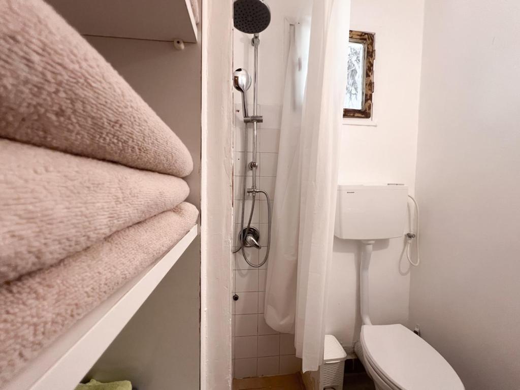 a bathroom with a toilet and some towels at הצימר של יהושע in Ein Gedi