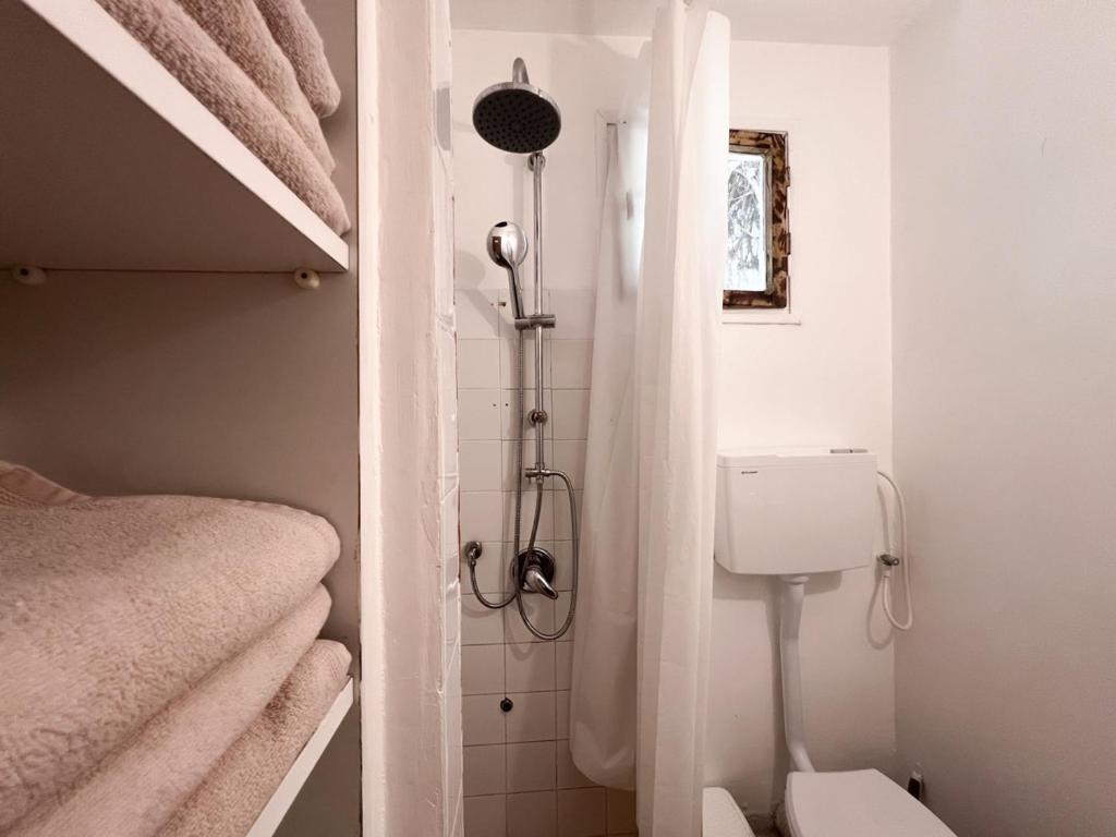 a small bathroom with a shower and a toilet at הצימר של יהושע in Ein Gedi