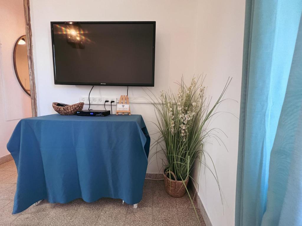 a blue table with a tv on a wall with plants at הצימר של יהושע in Ein Gedi