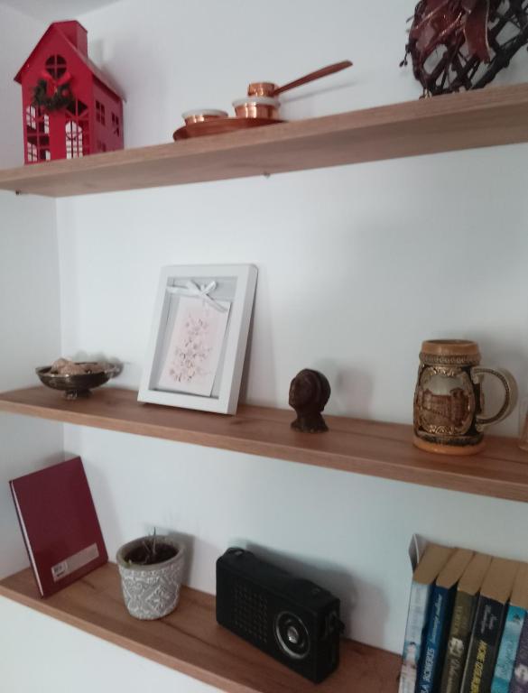 Knihovna v apartmánu