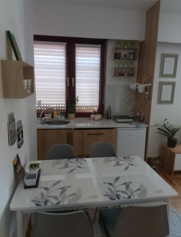 Kuchyň nebo kuchyňský kout v ubytování Fina Apartman