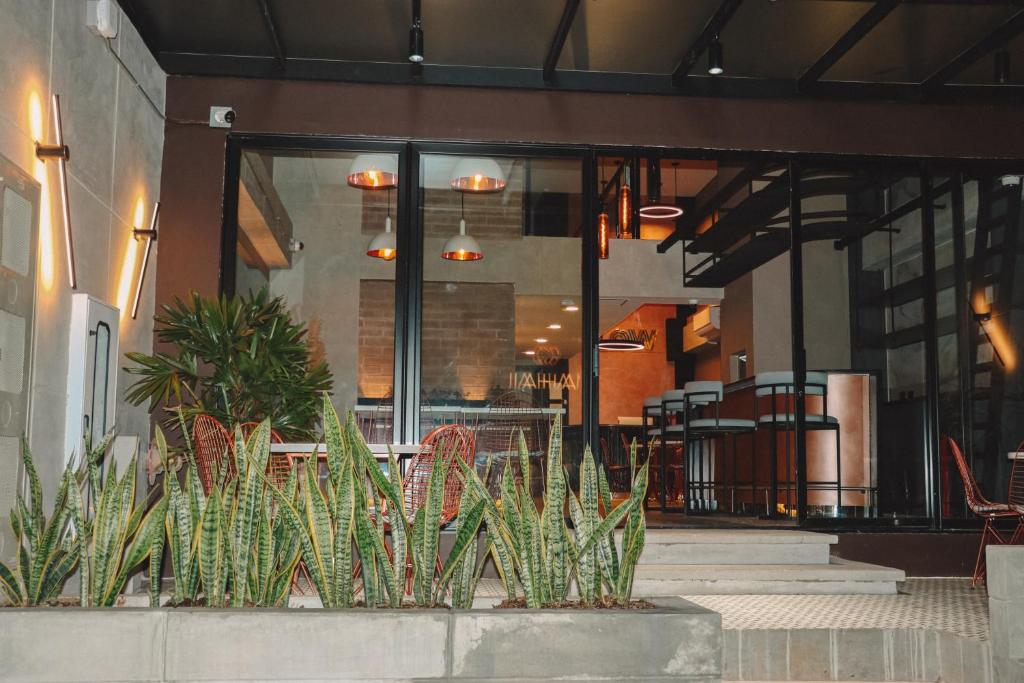 Fotografie z fotogalerie ubytování Glow Medellín v destinaci Medellín