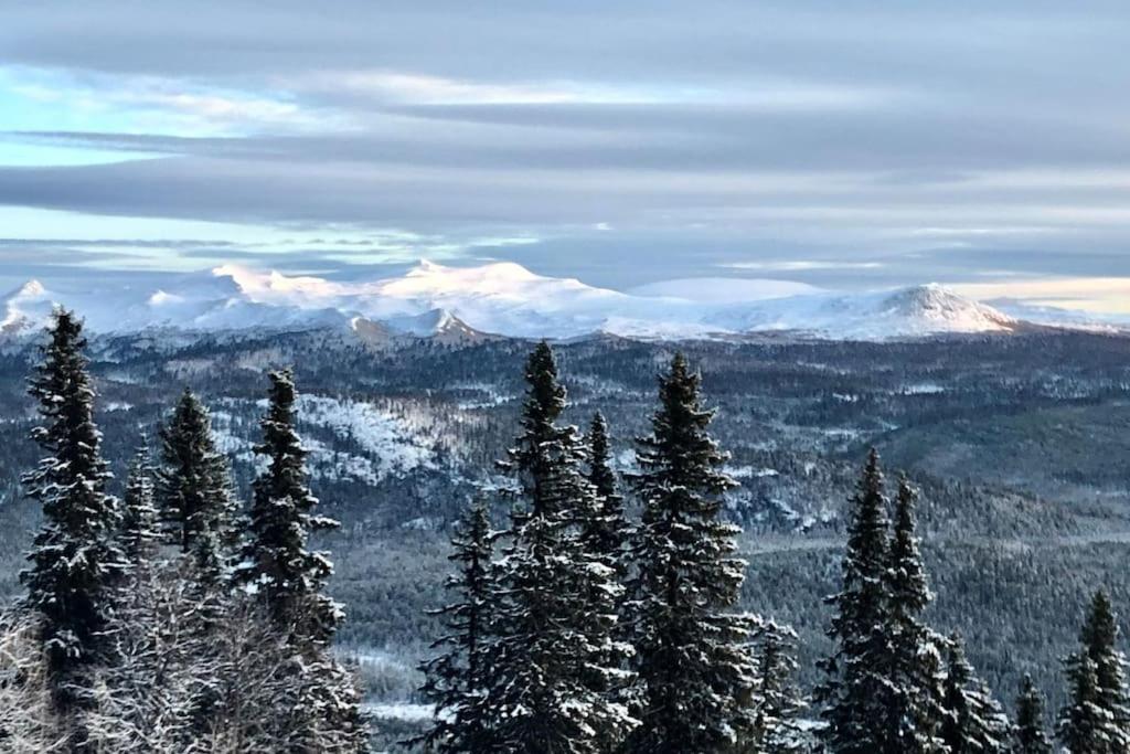 フネスダーレンにあるFunäsdalsfjällen för skidor, cykel, vandring och fiskeの雪に覆われた木々や雪を頂いた山々の景色