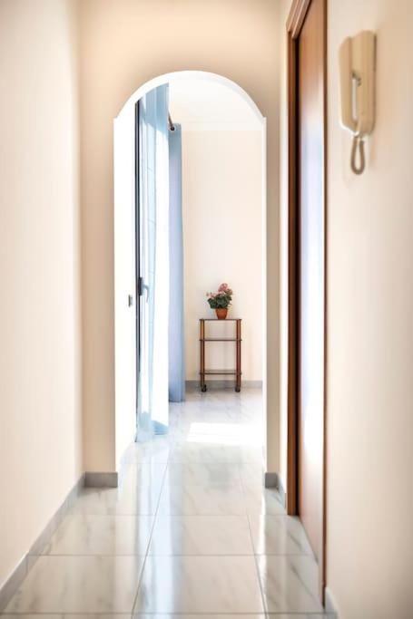 a hallway with an archway and a table with a plant at House 320 in Comiso
