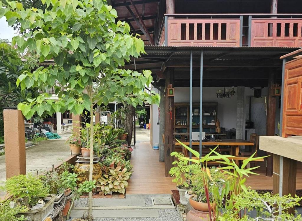 Zahrada ubytování Nipatra Homestay