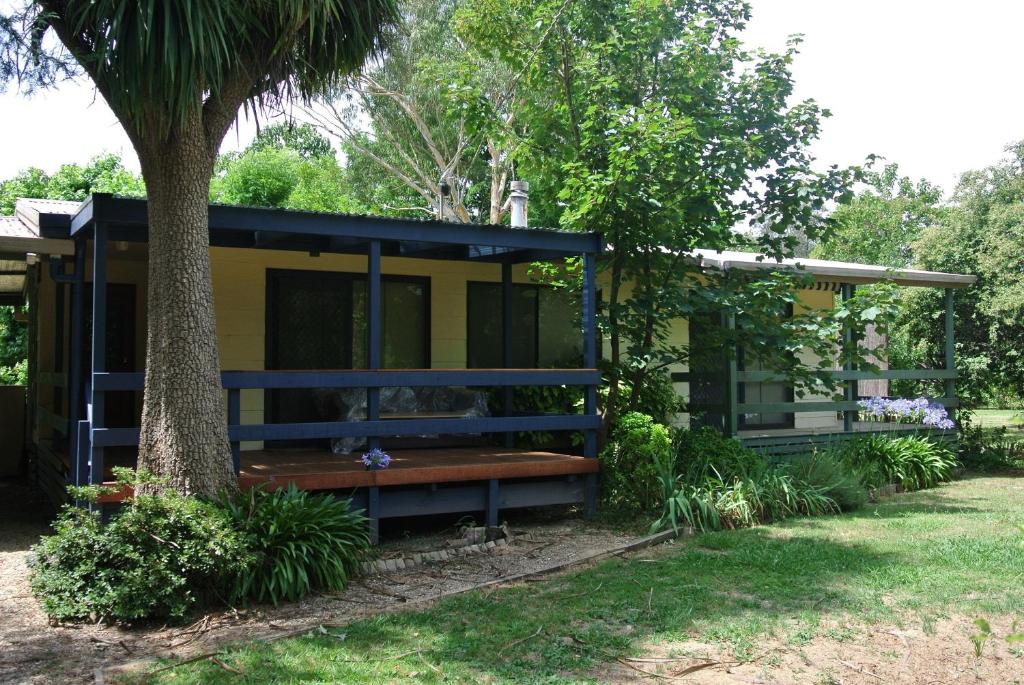 a yellow and blue house with a tree at Rail Trail Cottage - BRIGHT in Bright