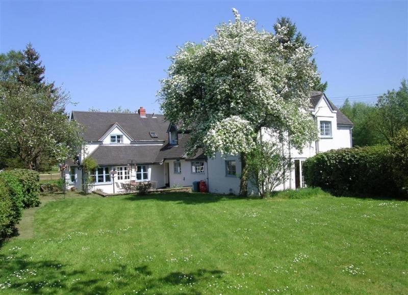 a white house with a tree in the yard at Alton Brook House in Combridge