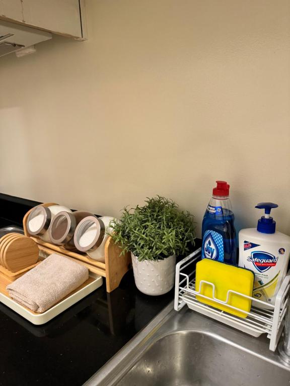 Fotografie z fotogalerie ubytování Cozy 1BR Netflix & Alexa w Balcony Free Pool v destinaci Manila