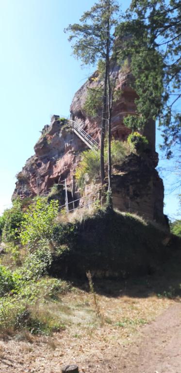 a rocky hill with trees on top of it at Schöntal- Seen- und Felsen in Ludwigswinkel