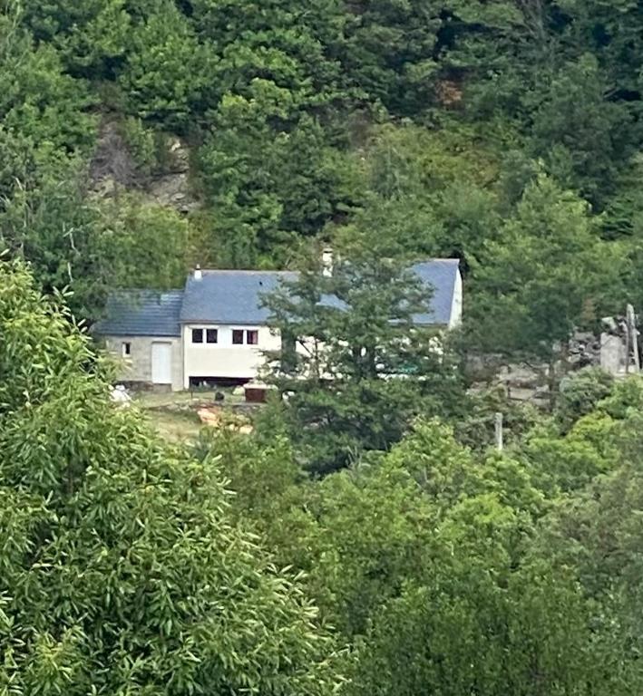 une maison blanche au milieu d'une forêt dans l'établissement Maison la Bouscasse, à Gabriac