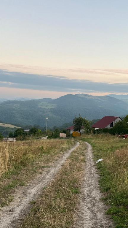 Shenlik Rest House - Appartement De Deux Chambres
