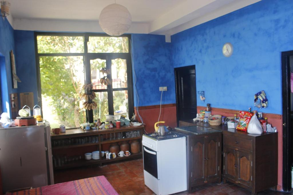 una cucina con pareti blu e frigorifero bianco di Siddhartha Garden Ayurveda a Pokhara